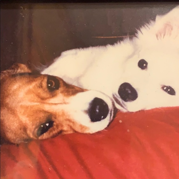 Meet your Posher, Sandra - Picture 1 of 1